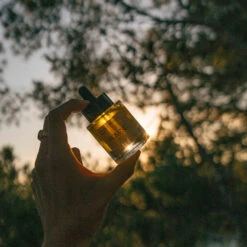 Huile De Jojoba 100% Biologique Pressée à Froid -Dermalogicas Skincare Boutique 02 22 Encart Inspi Jojoba Oil ROWSE