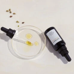 Active Botanical Sérum Huile -Dermalogicas Skincare Boutique 2020 09 encart inspi active botanical serum vintner s daughter 5 TINY 31843684 4ece 4b5a b91c daf4ee9aa5a1